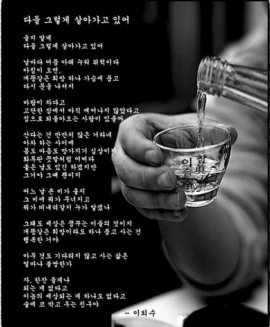 다들 이미지