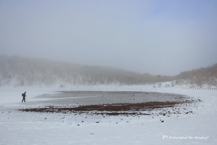 [제주도여행] 한라산 성판악~사라오름~백록담~관음사 등반 제주도 여행