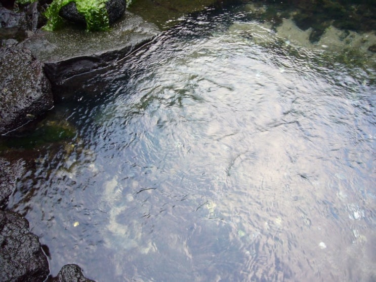 [제주체험여행] 한라산이 빚어낸 '살아있는 물', 용천수체험