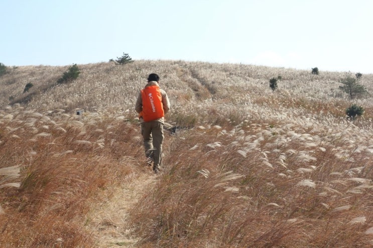 제주 가을아 안녕. 안녕? 안녕! [ 써니허니게스트하우스 / 따라비오름 / 모슬포 / 제주가을여행 ]