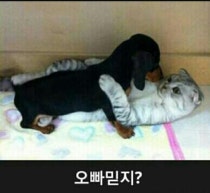 밤새 이미지