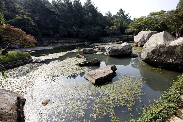 부용동정원, 전라도여행, 한국여행, Korea Tour, 국내여행, 대한민국여행, trip to Korea