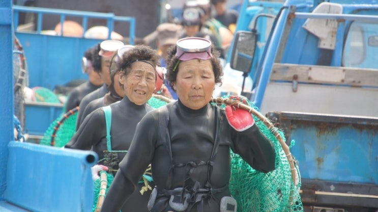 [공유] 제주 우뭇가사리와 해녀,제주 해녀가 유네스코에 등록된다면??