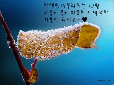 12월,, 안부문자 보내보아요~^^*