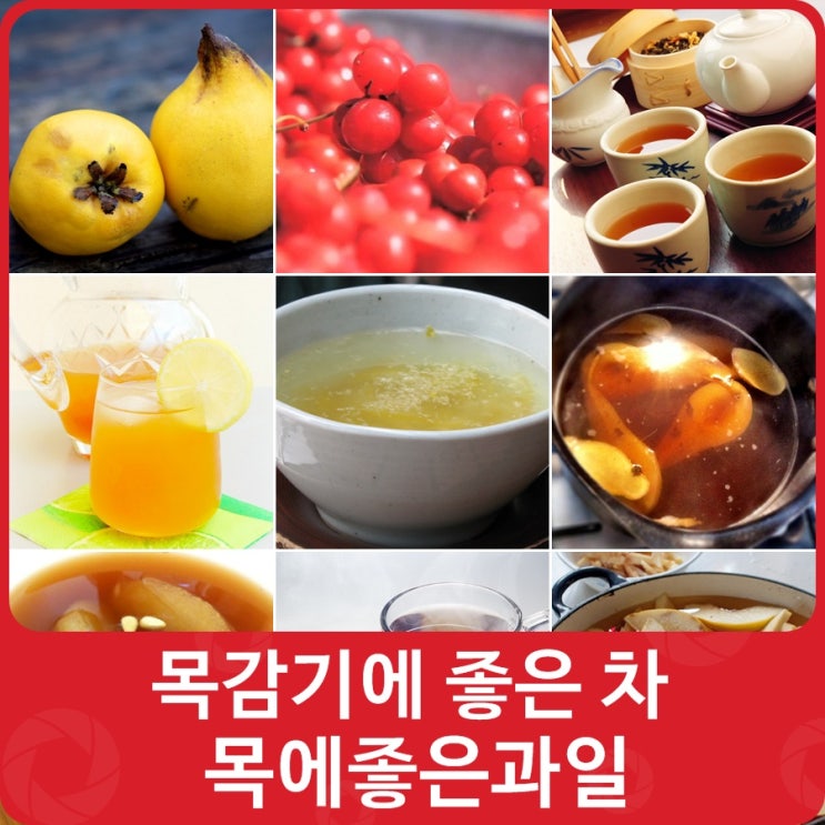 목감기에 좋은 차 목에좋은과일 살펴보기 네이버 블로그