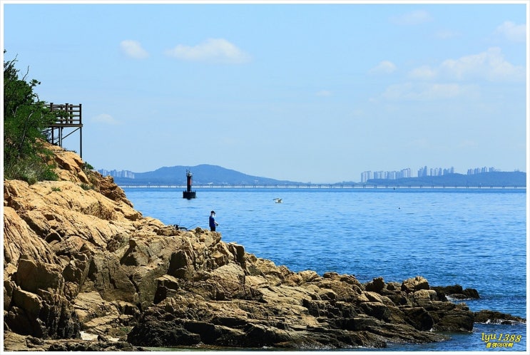 [무의도] 무의도 가는 방법 & 무의바다누리길(제2탄)=>인천시 블로그 공모전<