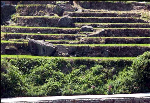 한국의 美(21) - 농토 2005/08