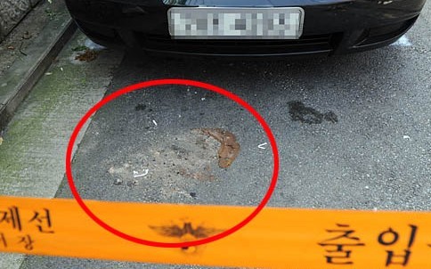 故 안재환 누나 안광희씨가 정선희한테 보낸 12장의 편지 | 인스티즈