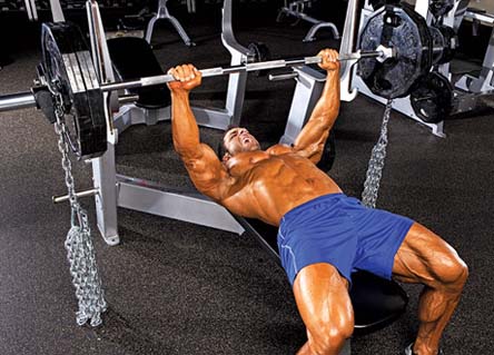 최고의 상체운동 하나만 고른다면? 풀업(턱걸이) vs 벤치프레스 | 인스티즈