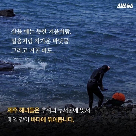 제주해녀, 일본 아마에게 뺏기지 않길..! 제주해녀유네스코등재를 위한 포스팅.