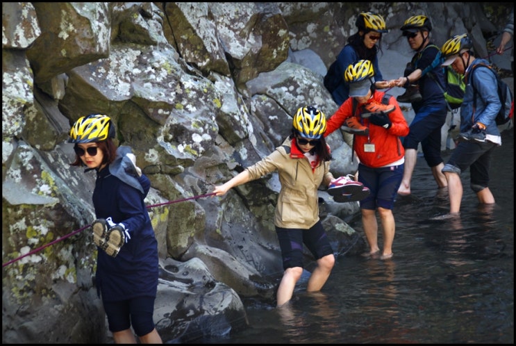 [제주세계자연유산센터 서포터즈] 제주생태마을 탐방 1일차 - 생물권보전핵심지역 효돈천트래킹