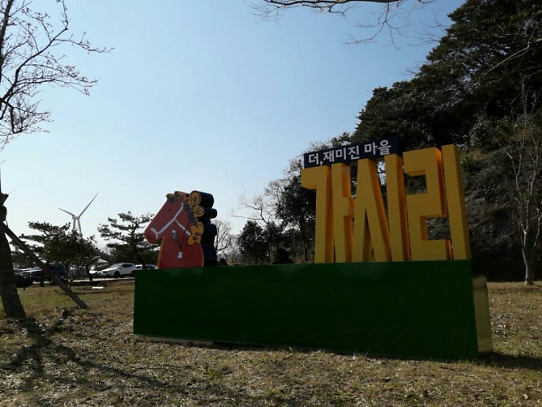 제주 가시리 유채꽃 축제