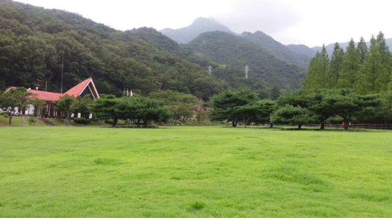 잔디공원 이미지
