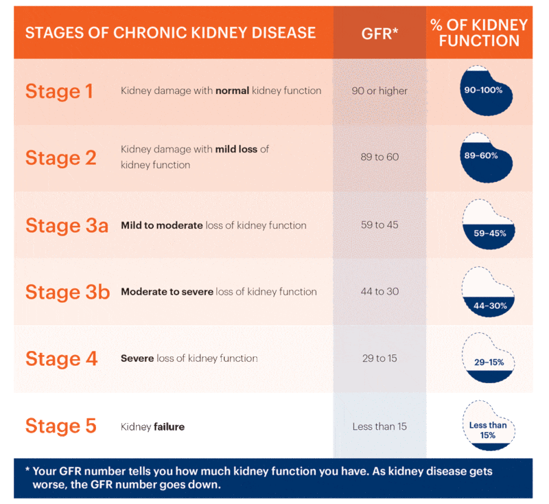 Glomerular Filtration Rate GFR kidney Function glomerular-filtration-rate-gfr-kidney-function