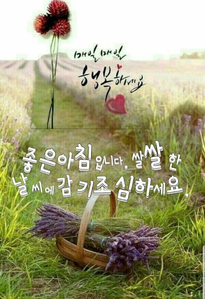 12월 이미지
