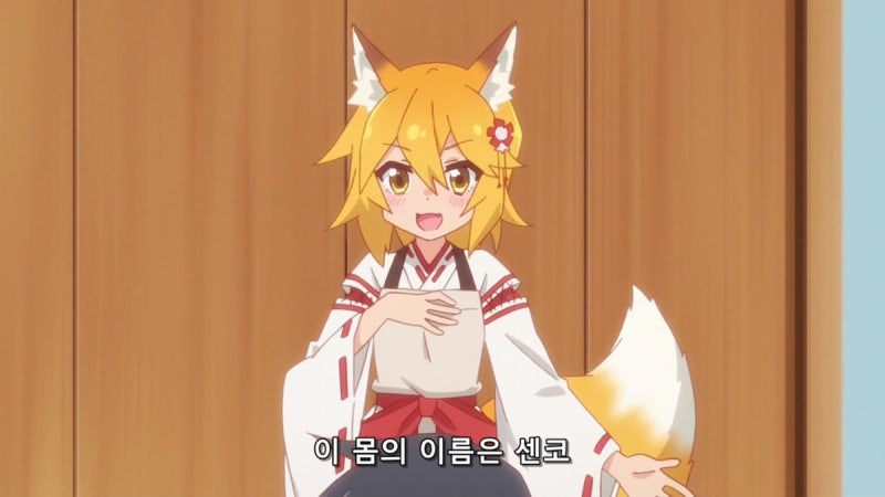 Ani 리뷰 도우미 여우 센코 씨 감상 네이버 블로그