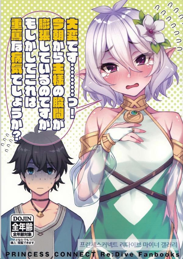 프리코네 동인지 큰일났습니다 오늘 아침부터 주인님의 고x이 부풀어 올라있습니다만 Manga 네이버 블로그