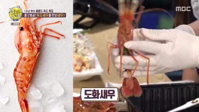 독도 새우 종류 선을 넘는 녀석들 리턴즈 47회 2020 07 19 네이버 블로그