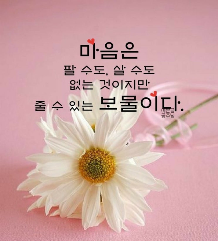 세상살이 이미지