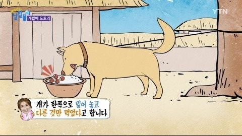 도토리 이미지