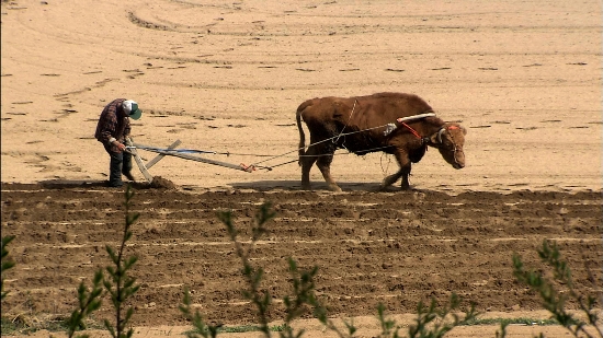 워낭 소리가 들리지 않는 사람들